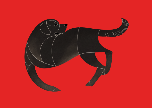 Labrador Retriever (black)